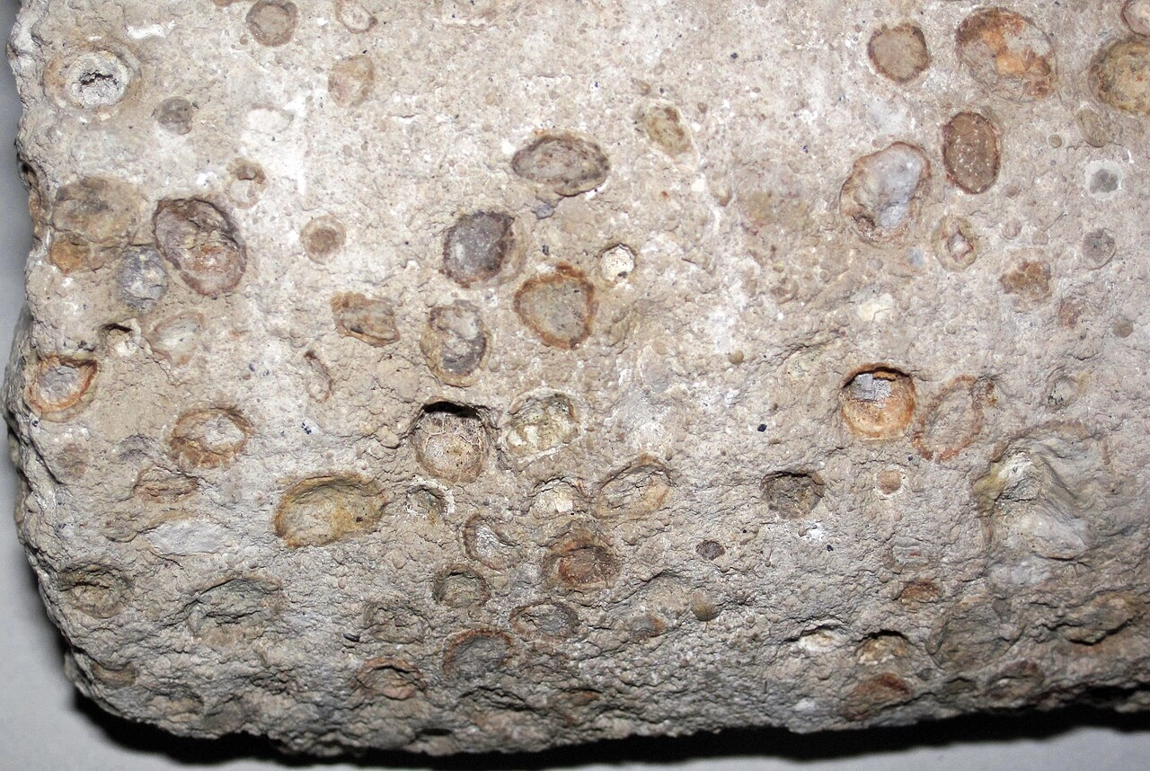 Sản Phẩm Khác